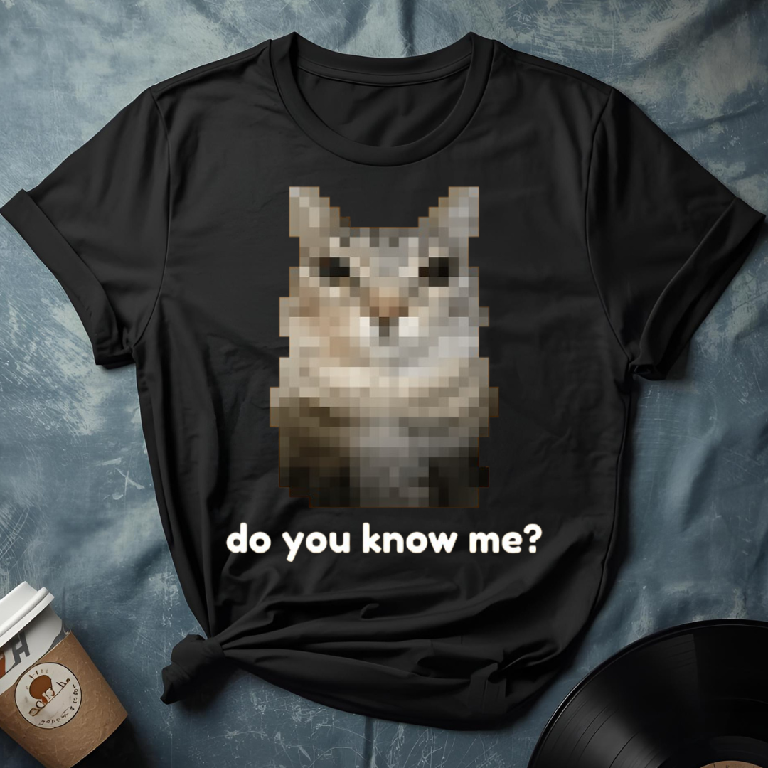 Funny Do You Know Me meme/cat T-Shirt