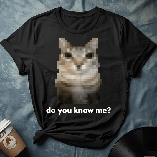Funny Do You Know Me meme/cat T-Shirt